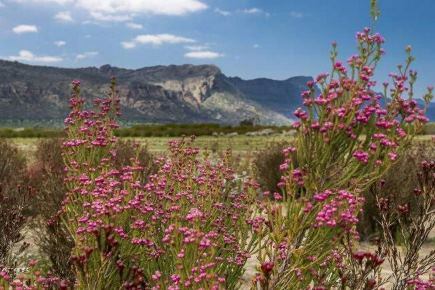 Grampians National Park | Mountain View Motor Inn & Holiday Lodges - Halls Gap Vic